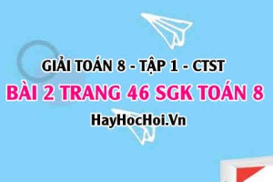 Giải bài 2 trang 46 Toán 8 Tập 1 SGK Chân trời sáng tạo